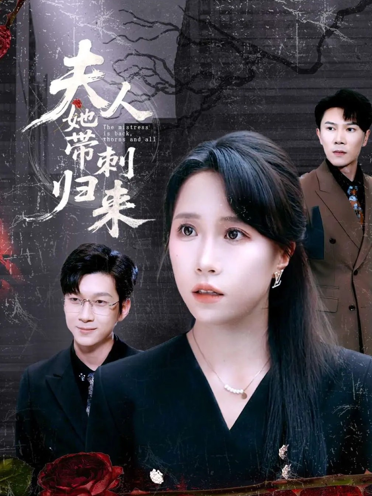 夫人她带刺归来