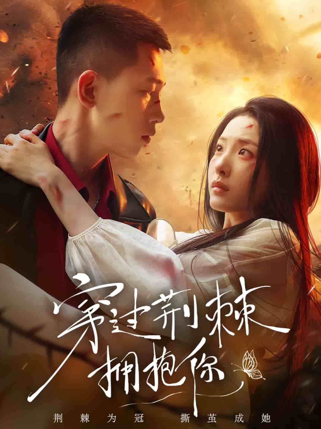 穿过荆棘拥抱你