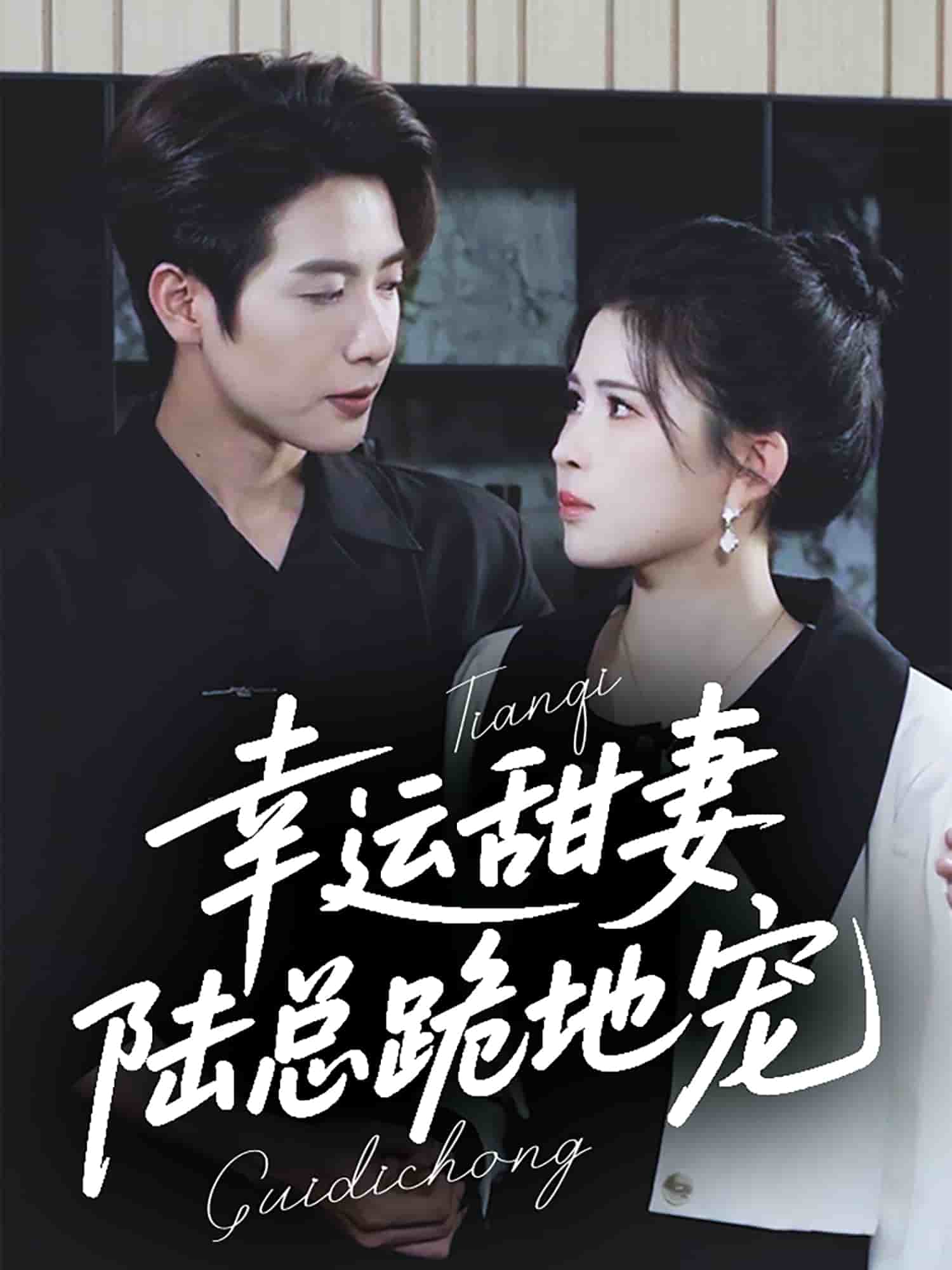 幸运甜妻,陆总跪地宠