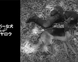 奥莉佛是狗,(天哪!!)这家伙 续篇